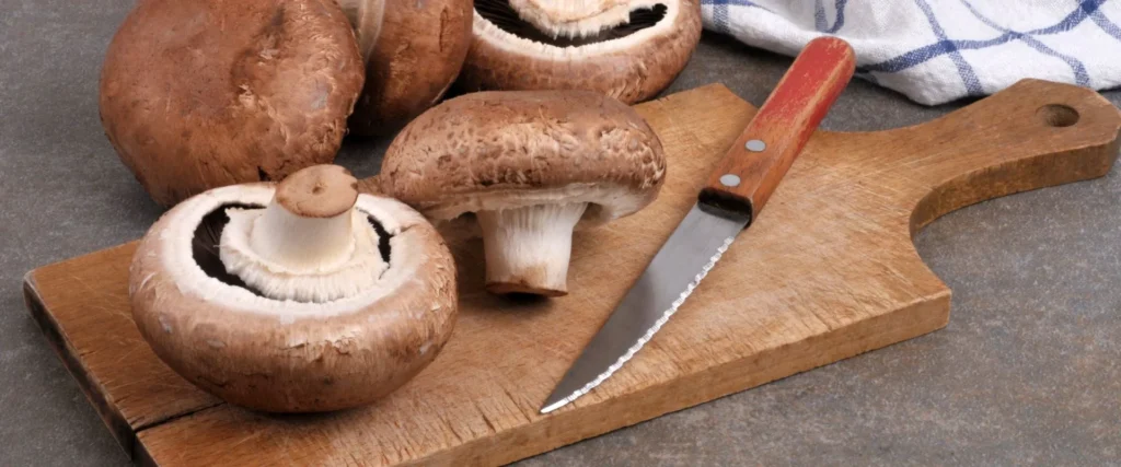 Opciones vegetarianas que te encantarán